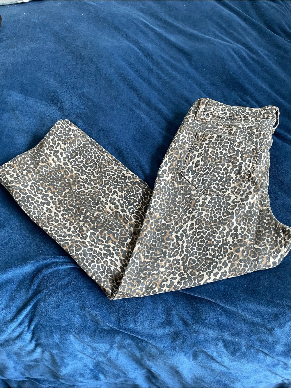 Maurices Leopard Print Jeans - Brown & Black